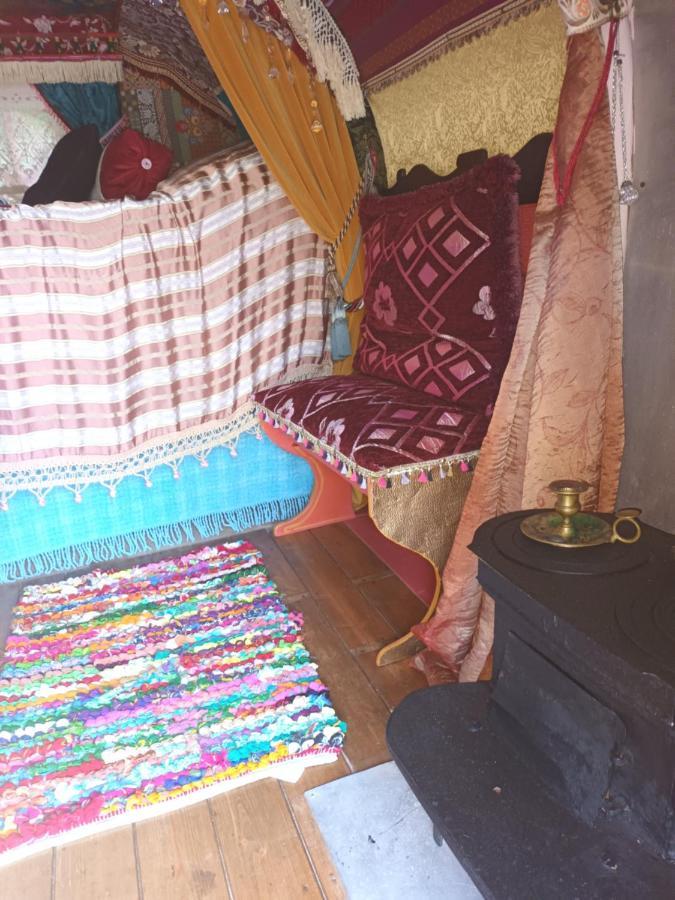 Accommodatie bij particulieren Git'an Perigord La Bohemienne Groléjac